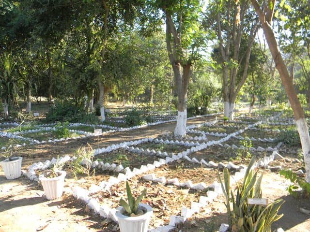 G. J. Patel Institute of Ayurvedic Studies and Research Anand Infrastructure photo 3